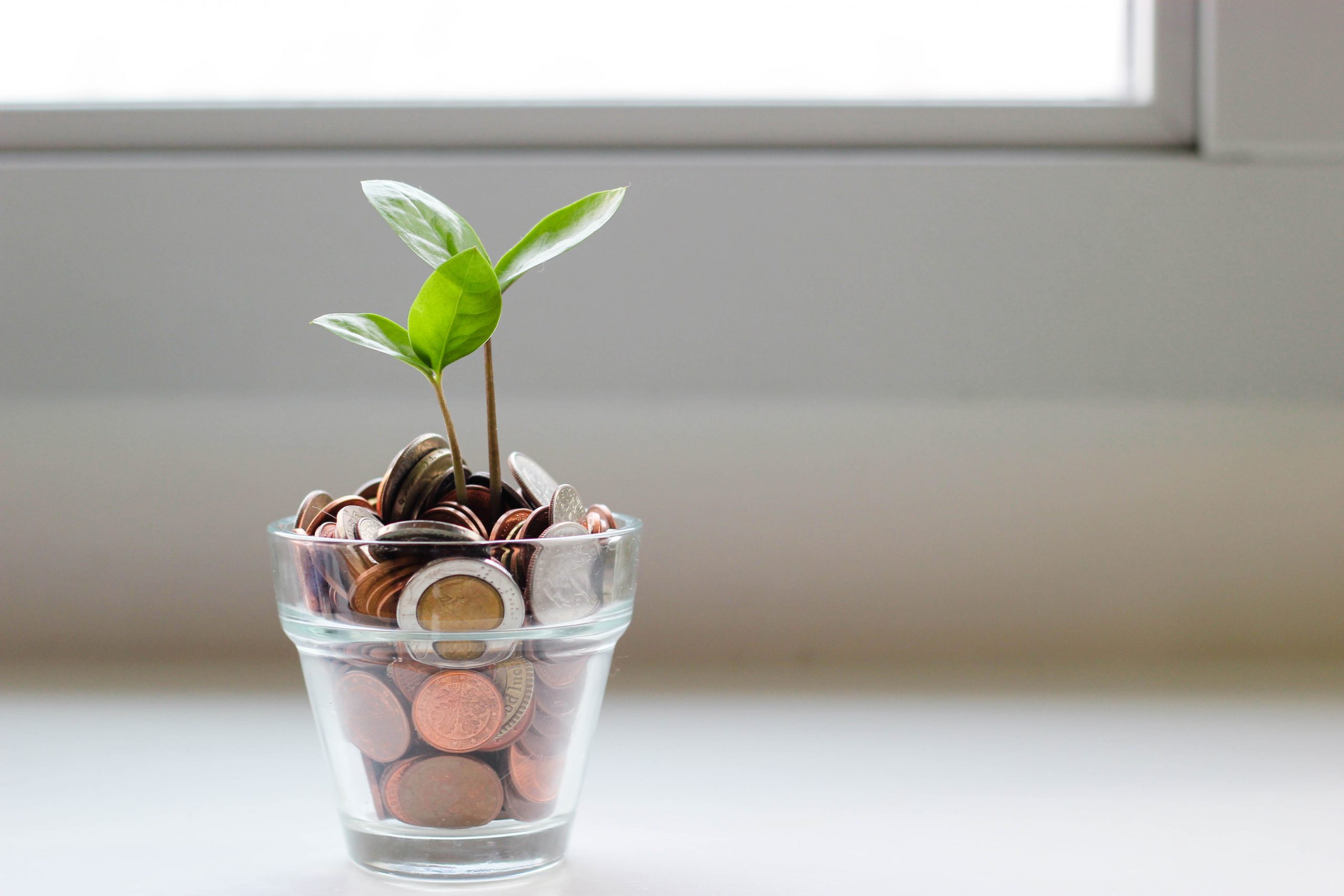 Jar of coins with small plant growing