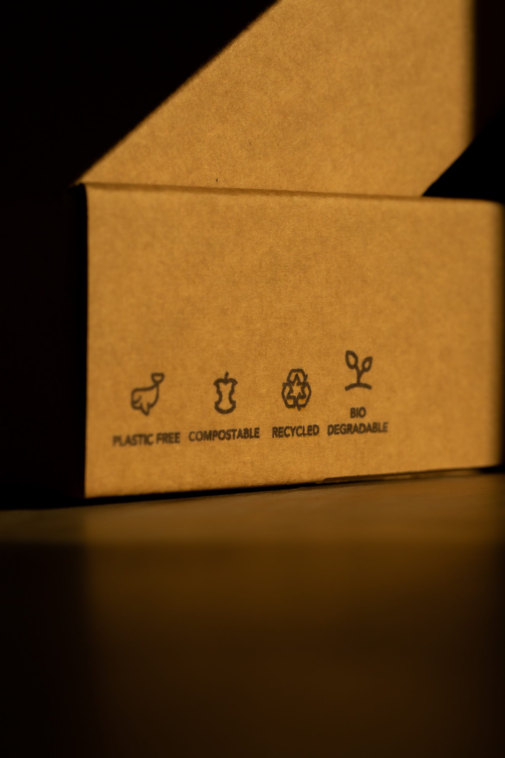 Sustainable cardboard box